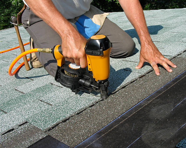 Roof Gutter Cleaning in Demopolis, AL