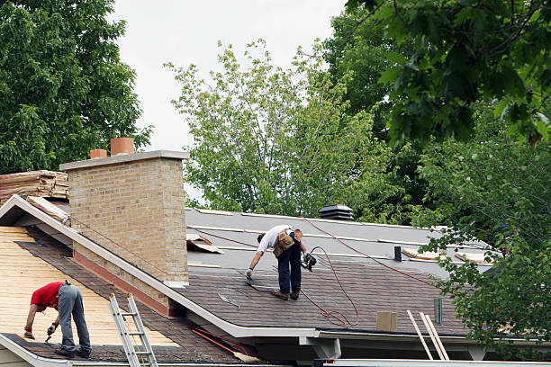 Professional Roofing Contractor in Demopolis, AL