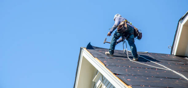 Best Residential Roofing Contractor  in Demopolis, AL
